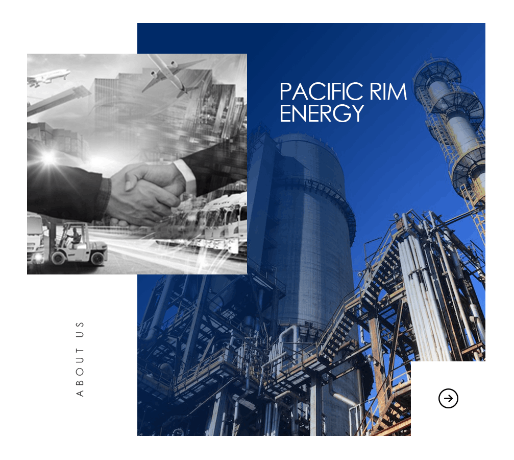 Profil PACIFIC RIM ENERGY